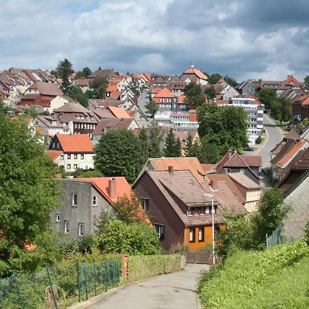 Ferienwohnung Wiesenblick Mit Terrasse Im Landhaus Fischer Sankt Andreasberg Buitenkant foto