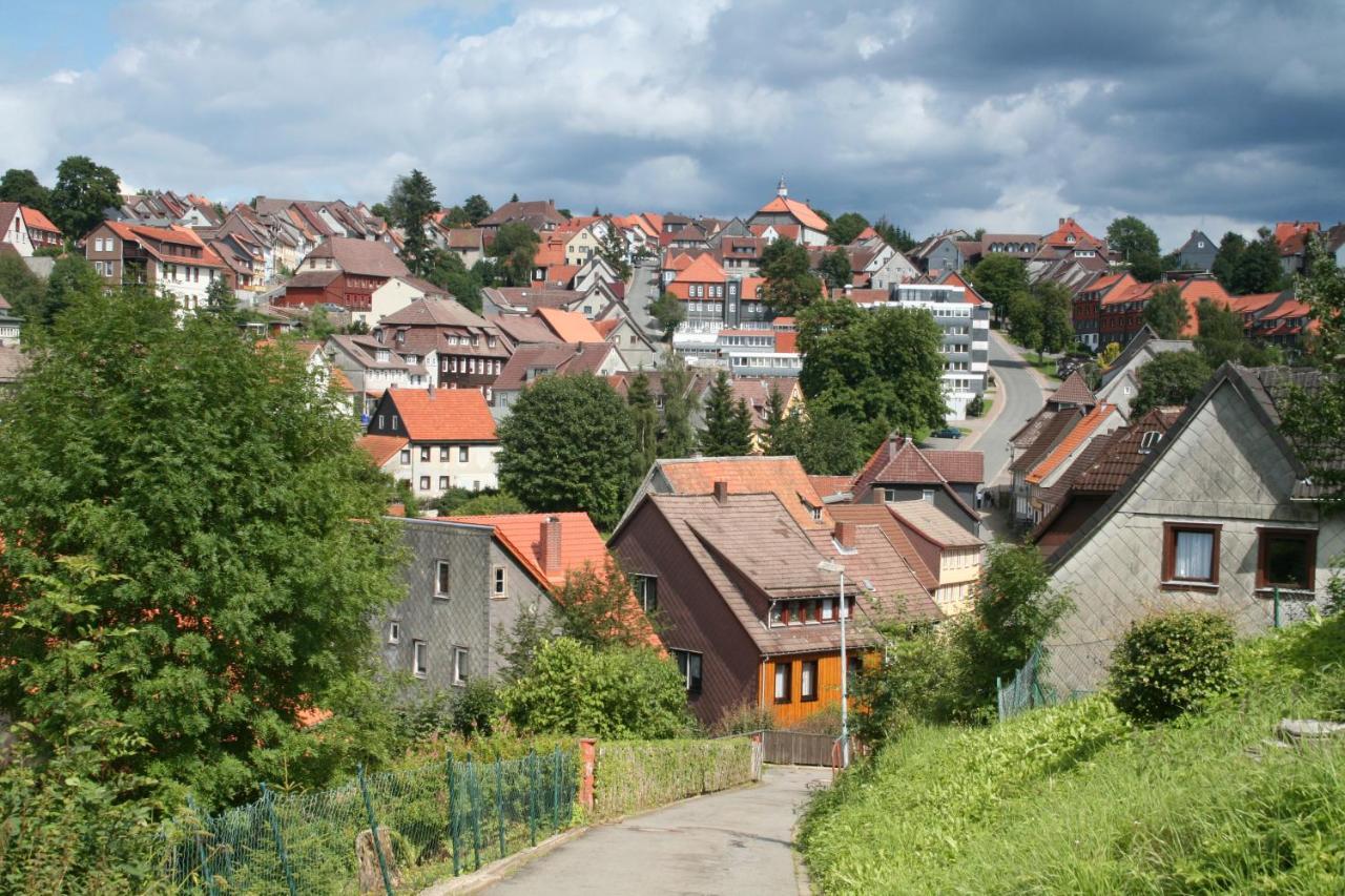 Ferienwohnung Wiesenblick Mit Terrasse Im Landhaus Fischer Sankt Andreasberg Buitenkant foto